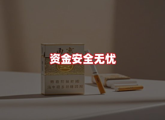 专业团队